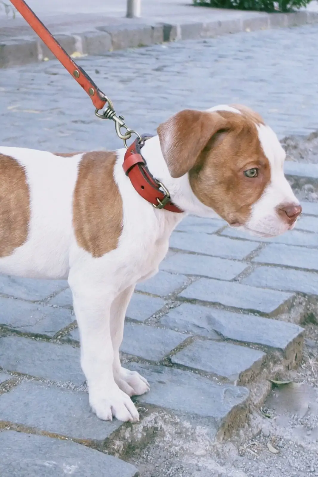 DSCF3065 scaled 1 e1710774496420